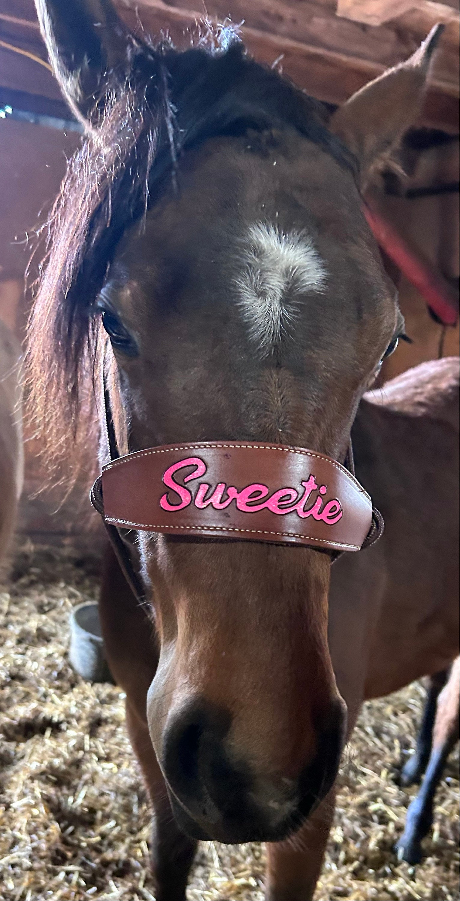 Skinny Bronc Poly Rope Halter