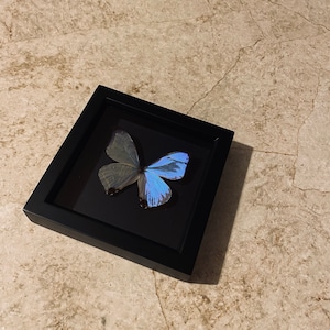 Sam added a photo of their purchase