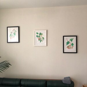 Ricky さんが購入した商品の写真を追加しました