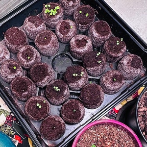 Happi ha añadido una foto de su compra