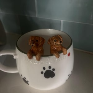 Emily added a photo of their purchase