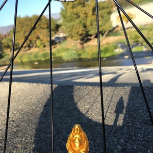 Candace added a photo of their purchase