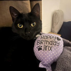 Zoe added a photo of their purchase
