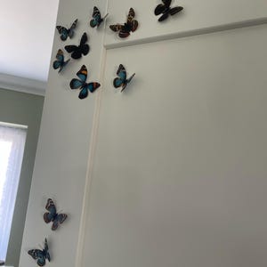 Lorraine added a photo of their purchase