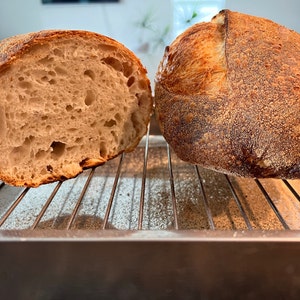 Gluten Free Sourdough Starter Maintained With GF King Arthur Four - Etsy