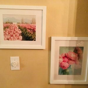 Greer added a photo of their purchase