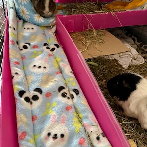 Beverley added a photo of their purchase