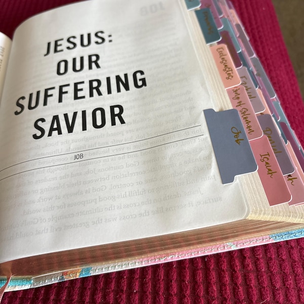 Laminated Bible Tabs | Books of the Bible Tabs | Bible Tabs With ...