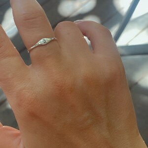 Custom Horse Ringhorse Family Ringhorse Silver Ring925 - Etsy