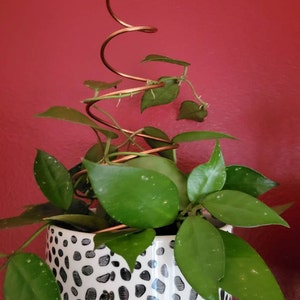 Alison added a photo of their purchase