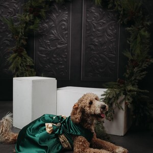 dog christmas dress walmart Pet Dog Christmas Clothes Costume, Dog Clothes for Small Medium Dogs and Cats