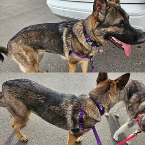 Farnaz dodał(a) zdjęcie swoich zakupów