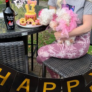 Dog Birthday Celebration Cake - Etsy UK