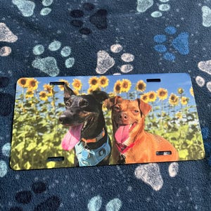 Emily added a photo of their purchase