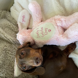 sally added a photo of their purchase
