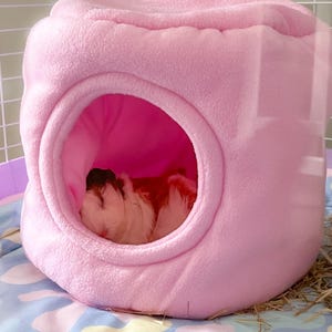 Nic added a photo of their purchase