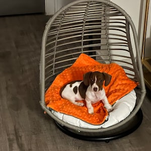 Michele heeft een foto van de aankoop toegevoegd