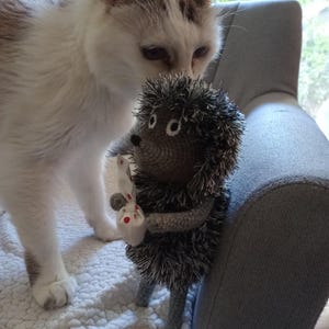 John added a photo of their purchase
