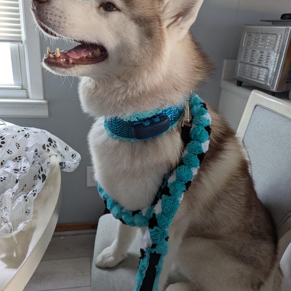 Custom Ribbon Display, Dog Award Ribbon Display Rack, Dog Rosette ...