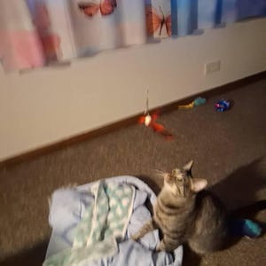 Kari added a photo of their purchase