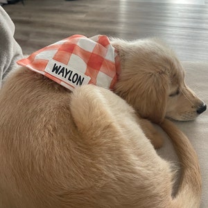 Hannah heeft een foto van de aankoop toegevoegd