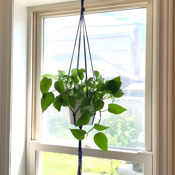 Curated visual reference: Picture Idea: Macrame Plant Hanger Hanging Planter Simple Minimalist Plant Hanger