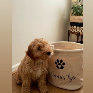 Anna added a photo of their purchase
