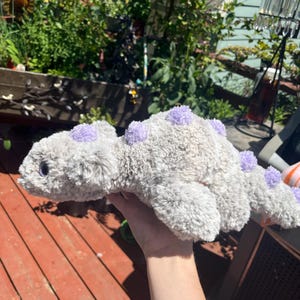 miley hat ein Foto des gekauften Artikels hinzugefügt