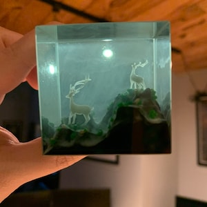 Erin ha añadido una foto de su compra