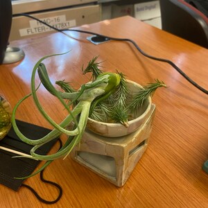 Victoria added a photo of their purchase