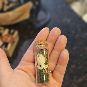 Brittany hat ein Foto des gekauften Artikels hinzugefügt
