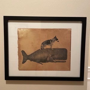 Cat Riding Moose Abyssinian Cat Riding Moose Vintage Collage | Etsy