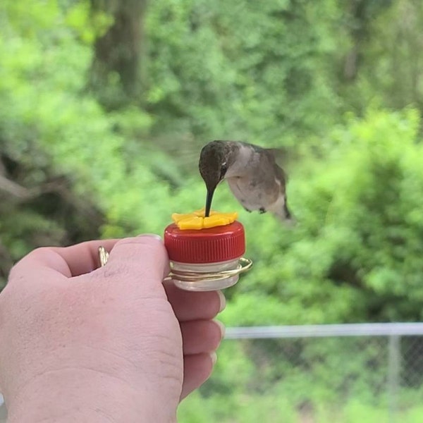 NEW Flower Single Hum-button™ With Lovely Window Spiral Holder Mini ...