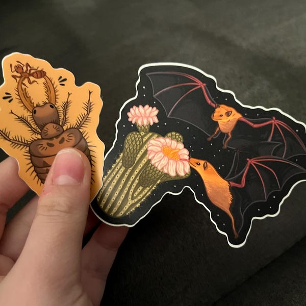 Number 1 Bug Enthusiast Iron-on Patch / Entomologist / Entomology ...