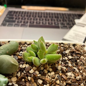 Tina added a photo of their purchase