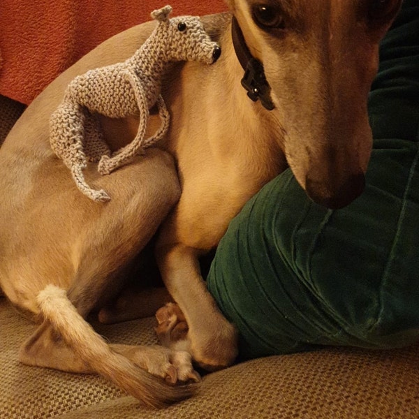 Lurcher Knitting Pattern - Etsy