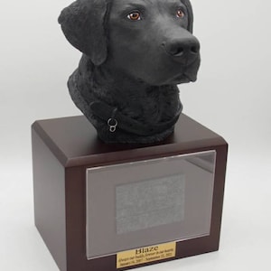 Danielle ha añadido una foto de su compra