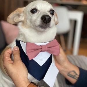 Rina ha añadido una foto de su compra