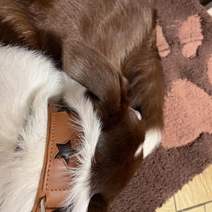 Wypsye added a photo of their purchase