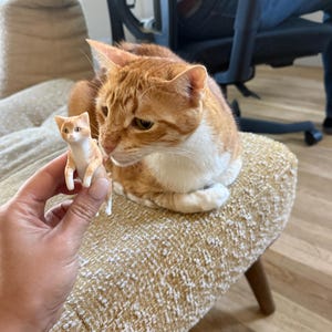 Laura added a photo of their purchase