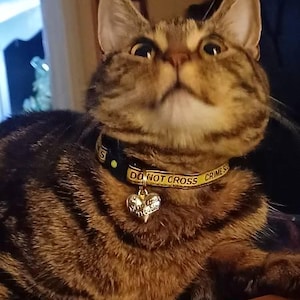Cassandra heeft een foto van de aankoop toegevoegd