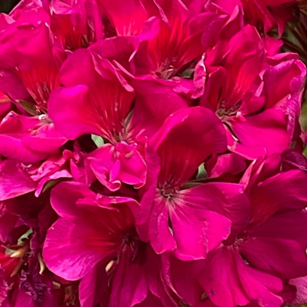 Pocket Bookmark, Crochet Bookmark, Journal Bookmark, Bookmark, DIY ...