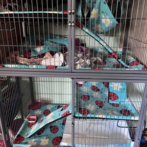 Desiree added a photo of their purchase
