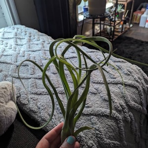 Tawny added a photo of their purchase