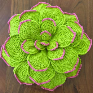 Diane added a photo of their purchase