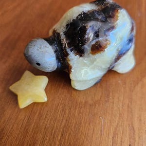 Elodie ha añadido una foto de su compra