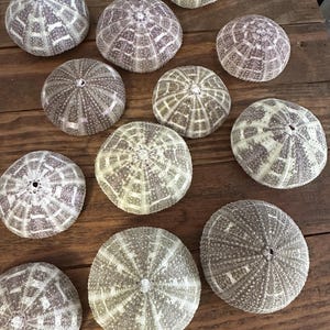 Etsy のお客さま さんが購入した商品の写真を追加しました
