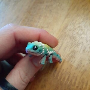 Cassandra added a photo of their purchase
