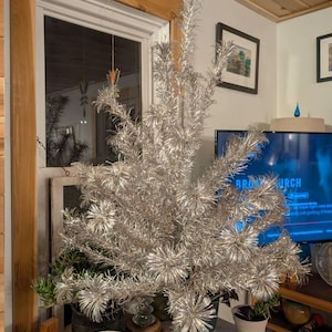 Jamie added a photo of their purchase