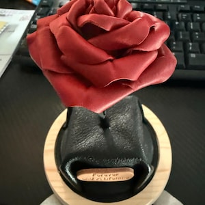 Jason ha añadido una foto de su compra